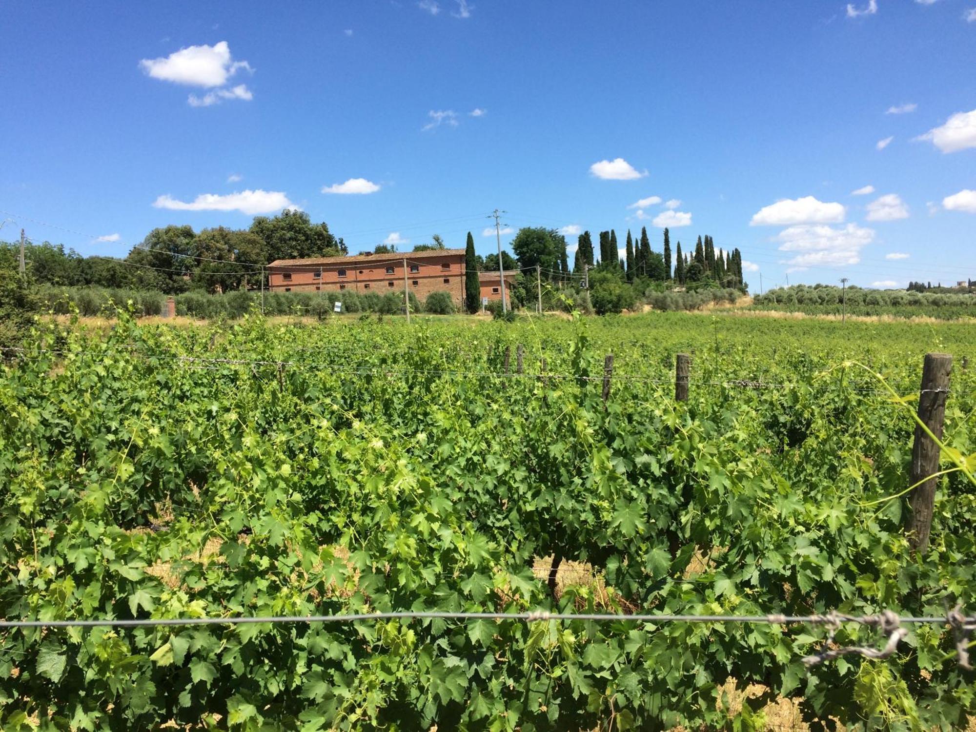 Agriturismo Fattoria Santa Vittoria Pozzo  Dış mekan fotoğraf